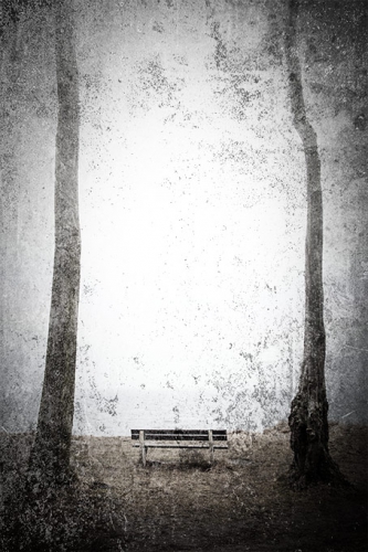 gespensterwald  DSC4853 06