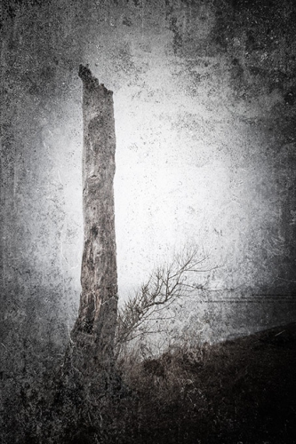 gespensterwald  DSC4856 09